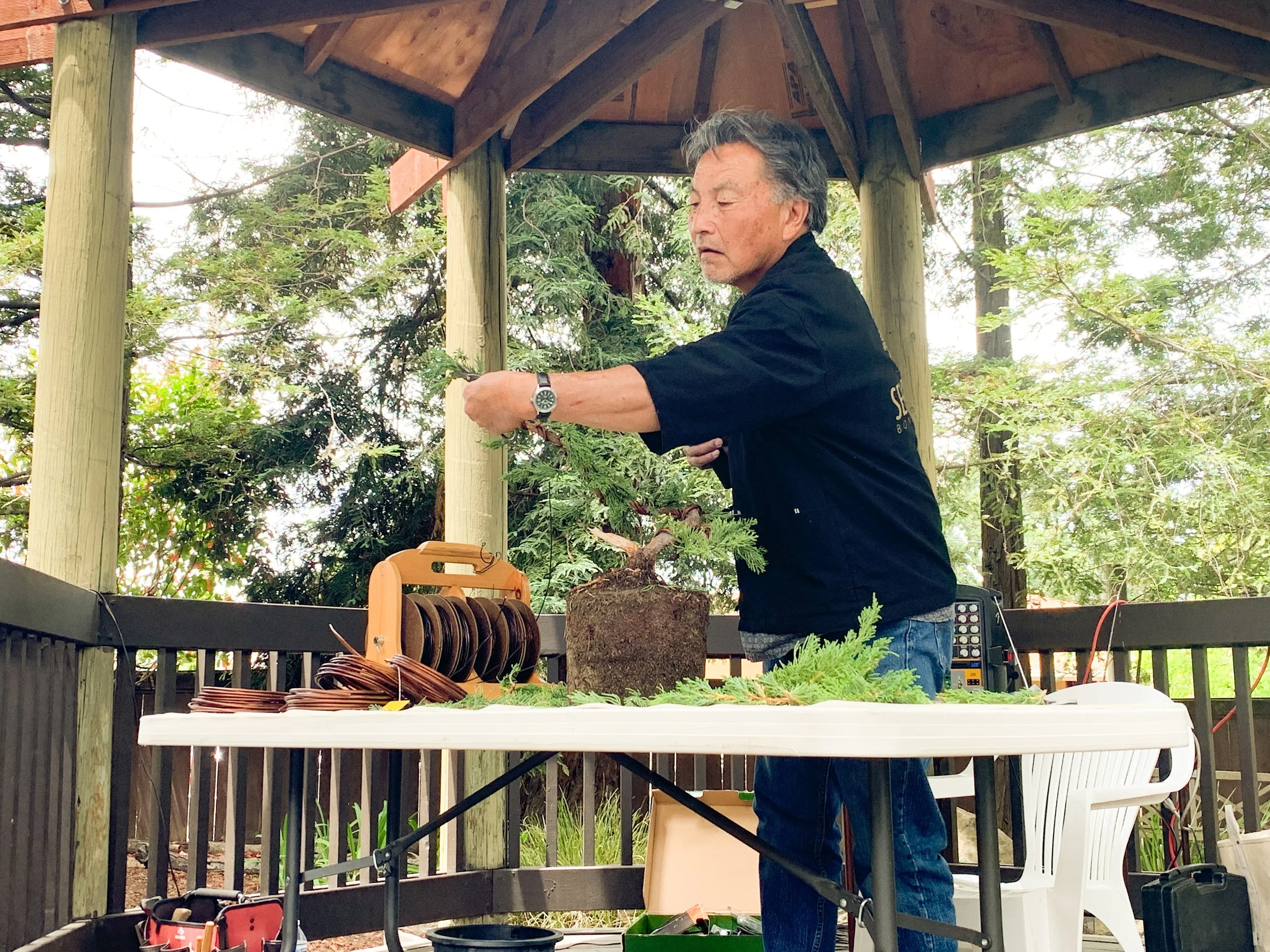 Sei Boku Bonsai Kai — San Mateo Garden Center